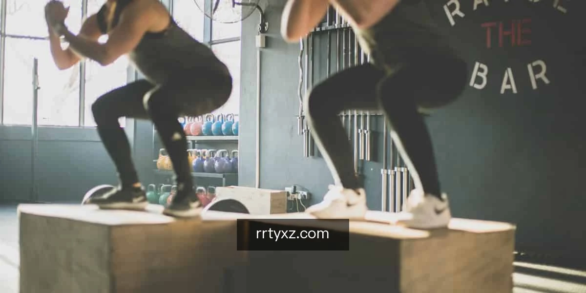 发现人人体育下载